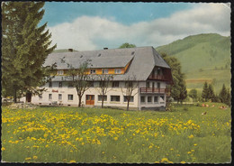 D-79872 Bernau Im Schwarzwald - Gasthof-Pension Rössle- 2x Nice Stamps - Waldshut-Tiengen