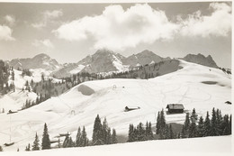 1955 Haus Schönblick Gegen Steinberge/Lofereralm. Used Photo Postcard. Publisher J.Schmidt Photohaus Lofer - Lofer