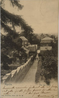 Marche (Marche En Famenne) Rue Des Loups 1905 - Marche-en-Famenne