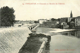 Toulouse * Chaussée Et Moulin Du Château * Pont - Toulouse