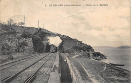 LOIRE ATLANTIQUE  44  LE CELLIER - TUNNEL DE LA SAULZAIE - TRAIN - Le Cellier