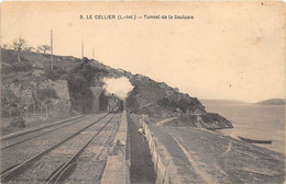 LOIRE ATLANTIQUE  44  LE CELLIER - TUNNEL DE LA SAULZAIE - TRAIN - Le Cellier
