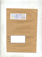 Demie-lettre Vignette Bureau Saint Louis Annexe GA - 2000 « Avions En Papier »