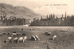 Meyrueis * Vue Sur La Plaine - Meyrueis