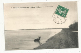 Cp , 45 ,en Forêt D'ORLEANS , CHASSES A COURRE ,le Cerf En LOIRE , Voyagée 1911 - Hunting