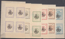Iran Persia 1906 Mi#227-232 Mint Never Hinged Complete Set In Pieces Of Four - Iran