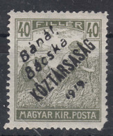 Hungary Banat Bacska 1919 Mi#30a Mint Never Hinged - Banat-Bacska