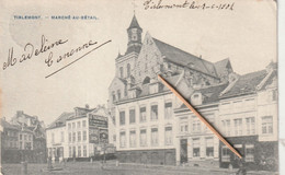 Tirlemont: Marché-au-Bétail,1907 - Tienen