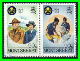 REINO UNIDO .- ( COSTAS DE MONSERRAT ) SELLOS AÑ0-1982 (SCOUTS) - Local Issues