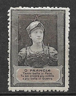 France Vignette La France Plus Belle En Guerre 1914/18  Neuf ( * )     B/TB   - Militario