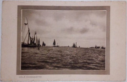 CHIOGGIA - VENEZIA - VELE  CHIOGGIOTTE - BARCHE A VELA - BRAGOZZI - 1930 - Chioggia