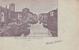 UN SALUTO DA CHIOGGIA - VENEZIA - LA PESCHERIA - 1908 - Chioggia