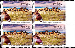 DONKEYS- ASS OF KUTCH-INDIA BLOCK OF 4- 500p- ERROR-VARIETY- MNH- INDIA-2013-MNH-B3-1047 - Esel