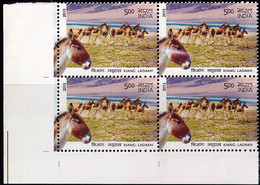 DONKEYS- ASS OF KUTCH-INDIA BLOCK OF 4- 500p- ERROR-VARIETY- MNH- INDIA-2013-MNH-B3-1047 - Donkeys