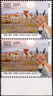 DONKEYS- ASS OF KUTCH-INDIA - PAIR- 2000p- MNH- INDIA-2013-MNH-B3-1046 - Donkeys