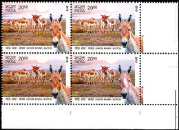 DONKEYS- ASS OF KUTCH-INDIA BLOCK OF 4- 2000p- ERROR-VARIETY- MNH- INDIA-2013-MNH-B3-1046 - Ezels