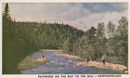 CANADA, * PULP WOOD ON THE WAY TO THE MILL* SENT WITH GREAT CANCERL SEE BACSIDE - Otros & Sin Clasificación