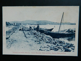 BALARUC LES BAINS             STATION THERMALE   SCENE DE PECHE   BORD DE L'ETANG DE THAU - Castelnau Le Lez