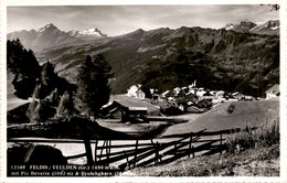 Feldis/Veulden (Gr.) Mit Piz Beverin & Bruschghorn (12501) - Bever