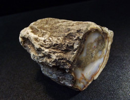 Petrified Wood (Fossilized Wood) - ( 3.5 X 3 X 3 Cm ) -   Aruaucaria  -  Mahajanga -  Madagascar - Minéraux