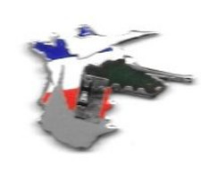 Pin' S  Carte De France Tricolore, Militaire ? T A M, Terre  Air  Mer - Militaria