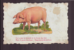 COCHON IL N A PAS LA BEAUTE NI LA FORCE DU LION ... CARTE ABIMEE - Cochons