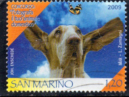 2009 San Marino - Fotografa Il Tuo Animale Domestico - Used Stamps