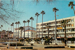 Chypre - Cyprus - Larnaca - Rue Palmier - Sea Front - Immeubles - CPM - Voir Scans Recto-Verso - Zypern