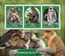 SAO TOME 2021 MNH Old World Monkeys Affen Der Alten Welt Singes Vieux Monde M/S - OFFICIAL ISSUE - DHQ2145 - Scimmie
