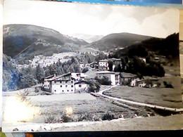BEDOLLO - TRENTO - ALTIPIANO DI PINE' VB1963 X ESTERO II366 - Trento