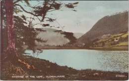 IRLANDE(GLENDALOUGH) ARBRE - Wicklow