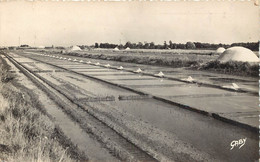 En Achat Immédiat : Photo Cpsm 17 ILE DE RE. Marais Salants Explotation Des Laboratoires Derambure 1956 - Ile De Ré