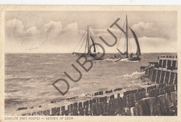 Postkaart-Carte Postale - BERGEN OP ZOOM - Schelde  (C1392) - Bergen Op Zoom