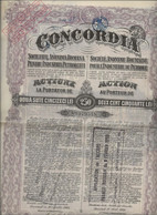 CONCORDIA -SOCIETE ROUMAINE POUR L'INDUSTRIE DU PETROLE - LOT DE 5 ACTIONS --250 LEI - ANNEE 1924 - Aardolie
