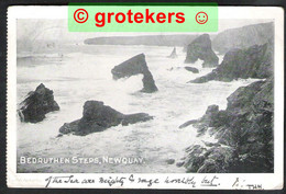 NEWQUAY Bedruthen Steps 1905 - Newquay