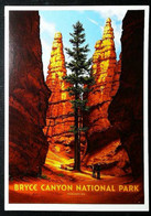 ► BRYCE CANYON - National Park - Utah - Bryce Canyon