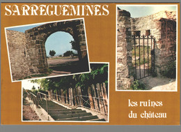 CPM 57 - Sarreguemines - Les Ruines Du Château - Sarreguemines