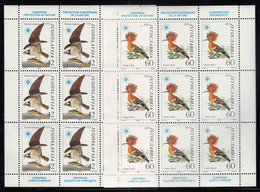 Yugoslavia Republic 1985 Nature Protection, Birds Mi#2100-2101 Mint Never Hinged Kleinbogen (Minisheet) - Unused Stamps