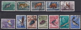 Yugoslavia Republic 1954 Animals Mi#738-749 Used - Gebraucht