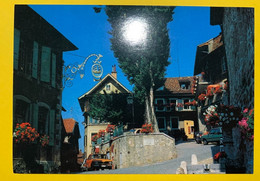 16095 - St-Saphorin  Cachet K 1.08.1987 - Saint-Saphorin