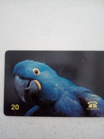 BRESIL PERROQUET PARROT 20U UT - Parrots