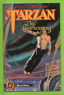 Tarzan - The Beckoning # 2 - Malibu Comics - In English - Dessins De Tom Yeates - December 1992 - Very Good - TBE / Neuf - Otros Editores