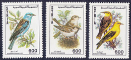 SYRIA - BIRDS - **MNH - 1991 - Passeri