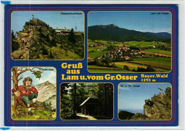 Lam - Großer Osser - Cham