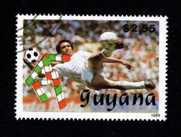 Guyana 1989 - La "bicyclette" - Oblitérés