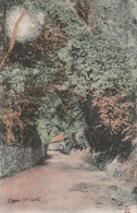 SARK - CREUX ROAD - Sark