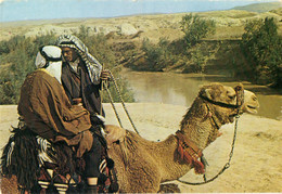 Two Men With A Camel,Jordan River (I.Amad 21) - Jordanie