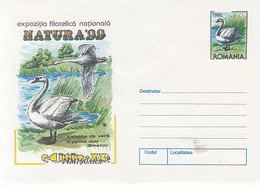 ANIMALS, BIRDS, MUTE SWAN, COVER STATIONERY, ENTIER POSTAL, 1999, ROMANIA - Cisnes
