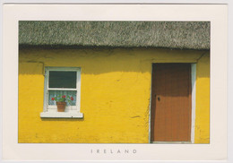 Greetings From Ireland - Format 11.5 X 16.5 Cm - Publ. INSIGHT CARDS Ltd IM5 - Autres & Non Classés