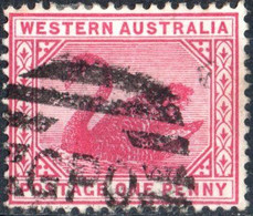 WESTERN AUSTRALIA, FAUNA, UCCELLI, BIRDS, CIGNO NERO, 1899, 1 P., USATO Mi:AU-WA 44, Scott:AU-WA 73, Yt:AU-WA 53 - Oblitérés